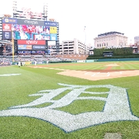 GVSU Night at Comerica Park: July 26, 2017